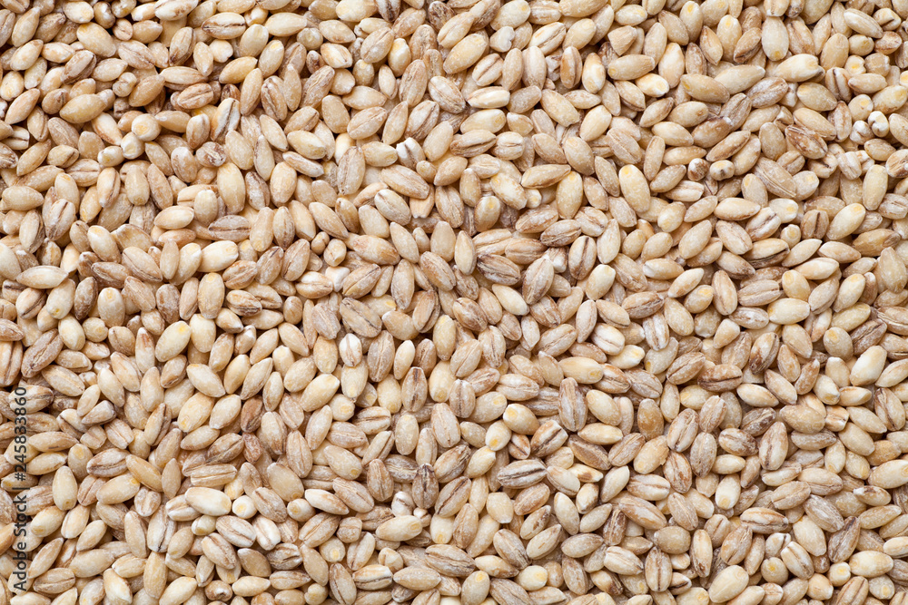 Close-up of peeled barley. Food background. Close-up of peeled barley. Food background.
