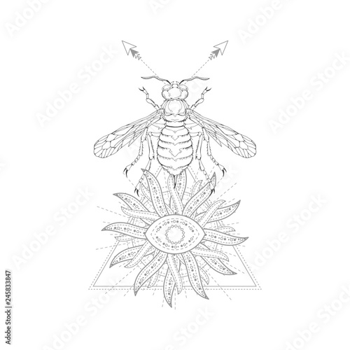 Vector illustration with hand drawn wasp and Sacred symbol on white background. Abstract mystic sign. Black linear shape. For you design, tattoo or magic craft.