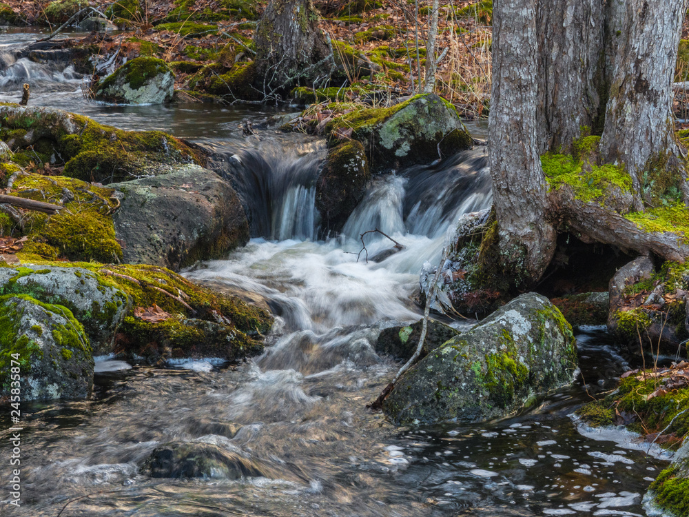 Stream in the forest, woods, no people, flowing