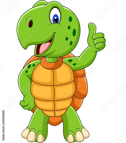 Cartoon turtle giving a thumb up