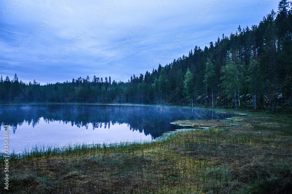 Pond in the forest during a summer night