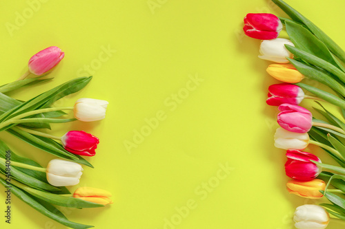 Lovely tulip flowers composition. Beautiful tulips, colored tulips.