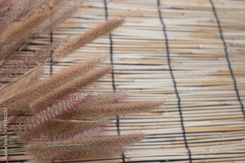 Dried flowers on plank background
