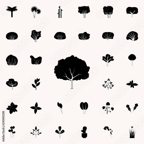 pear tree icon. Plants icons universal set for web and mobile