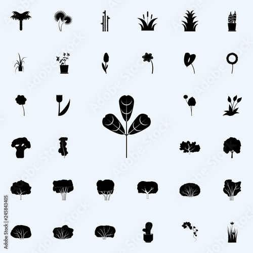 trigonella icon. Plants icons universal set for web and mobile