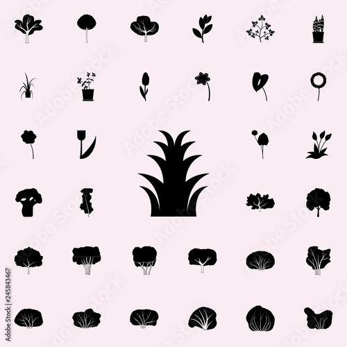 aloe icon. Plants icons universal set for web and mobile