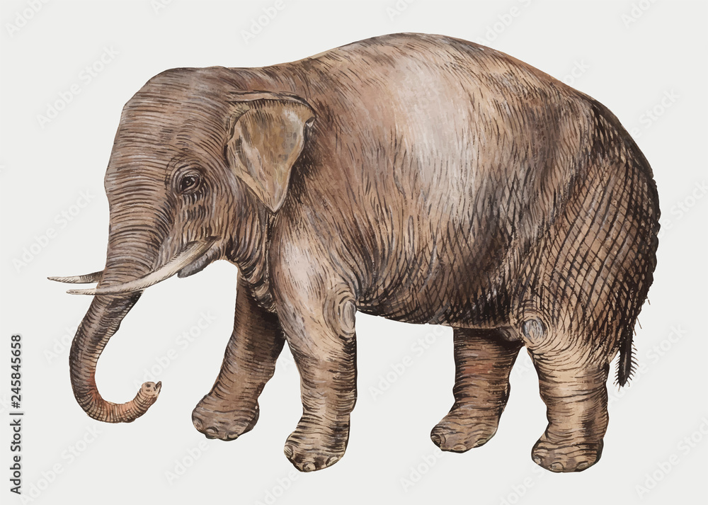 Naklejka premium Słoń w stylu vintage