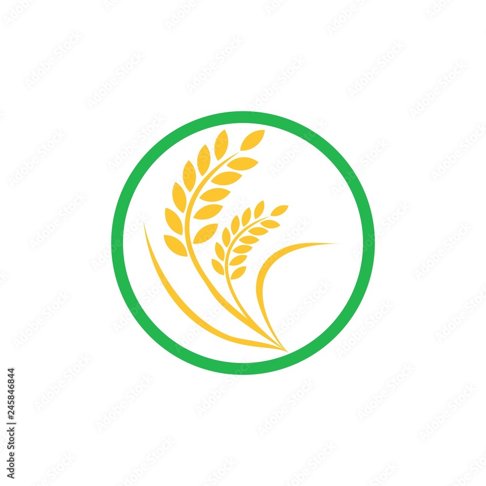 agriculture wheate logo design vector agriculture wheate logo design vector