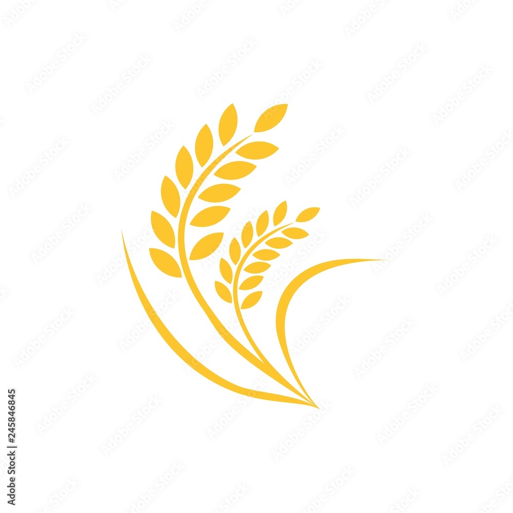 Fototapeta premium agriculture wheat logo vector