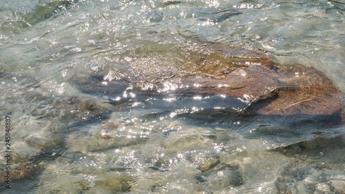 Clear sea water and rock.