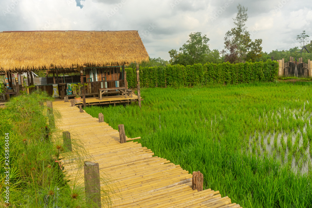 Hut at green paddy fields Hut at green paddy fields