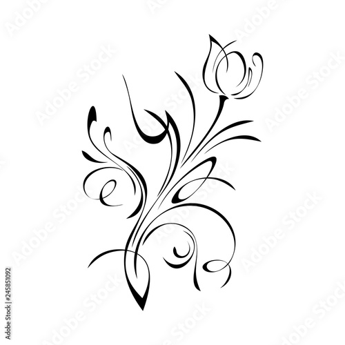decorative flower with a bud on a stalk with curls in black lines on a white background