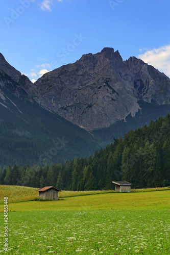 Two huts with white flower field behind the mountain at Biberwier, Tyrol, Austria