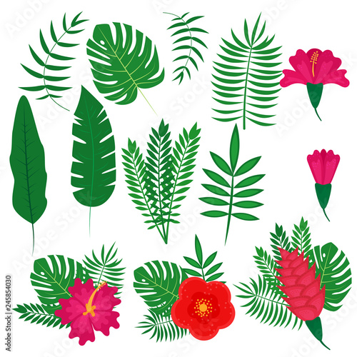 Fototapeta Naklejka Na Ścianę i Meble -  Set of tropical leaves and flowers, vector illustration
