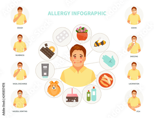 Allergy infographic vector