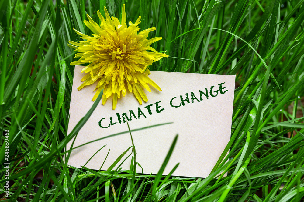 Naklejka premium Climate change