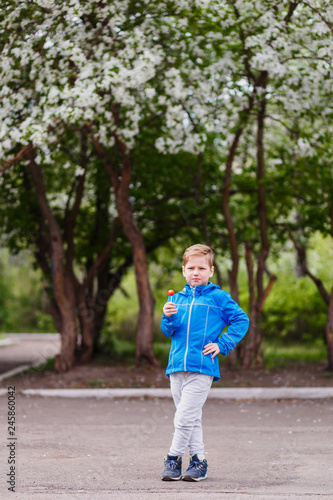 six-year-old boy in full-length holding a Lollipop in the hands of a spring near a blossoming Apple tree