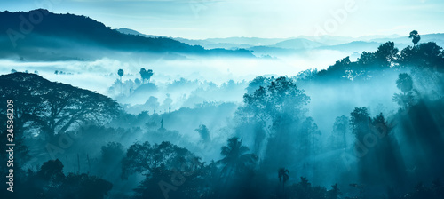 Beautiful Landscape of mountains and rainforest in early morning sun rays and fog in Myanmar.