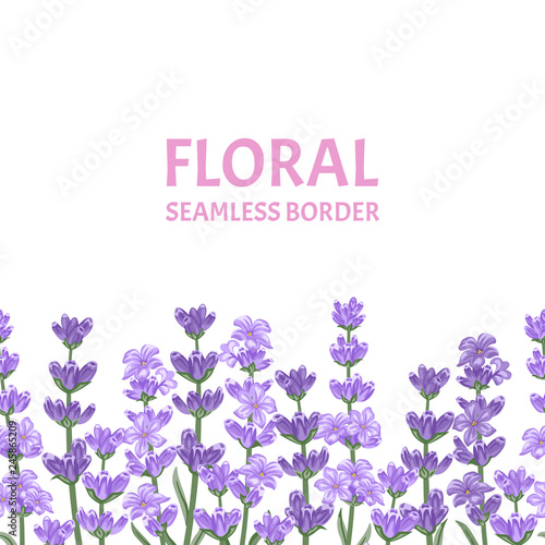Lavender seamless pattern. Horizontal border with violet flowers isolated on white background. Vector floral illustration in cartoon flat style.