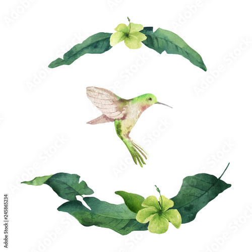 Watercolor vector card tropical leaves, hummingbird and flowers isolated on white background.