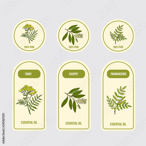 Set of essential oil labels