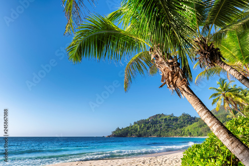 Fototapeta Naklejka Na Ścianę i Meble -  Exotic beach with white sand and turquoise sea on Jamaica Paradise island.