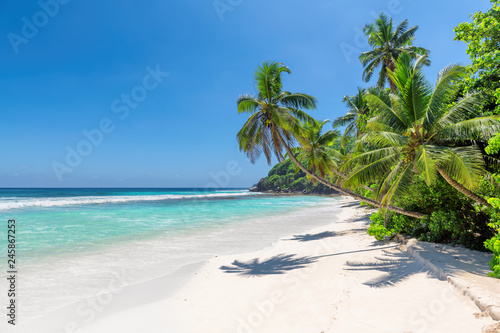 Fototapeta Naklejka Na Ścianę i Meble -  Exotic sandy beach with coco palms and turquoise sea in Jamaica island.  Summer vacation and travel concept.  