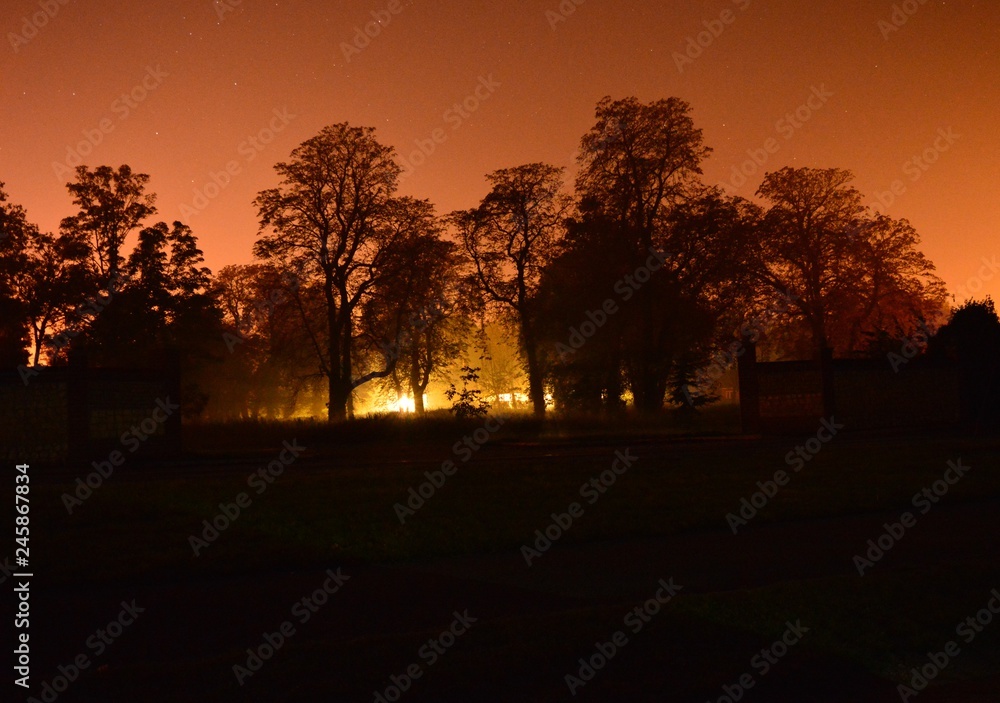 Fototapeta premium sunset in the park
