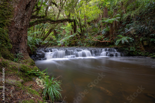 waterfall in forest