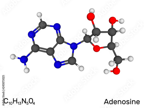 Adenosine, nucleoside, neur...