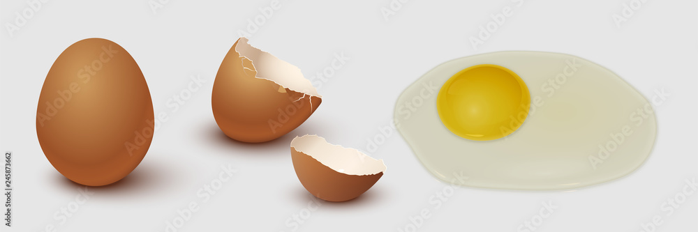 Brown chicken egg, eggshell and yolk isolated on gray background. Vector illustration. Brown chicken egg, eggshell and yolk isolated on gray background. Vector illustration.