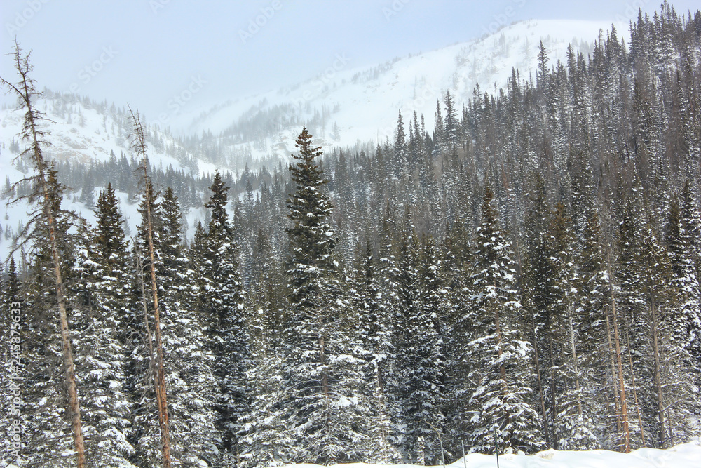 winter in the mountains winter in the mountains