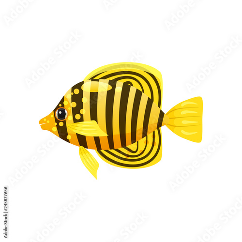 Tropical exotic Butteflyfish, bright colorful coloring, vector isolated on white background, cartoon style