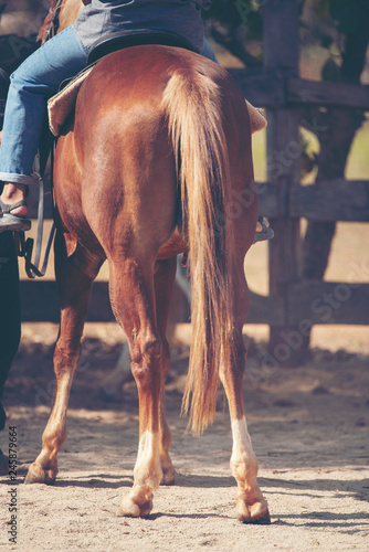 part of Beautiful horse, po...