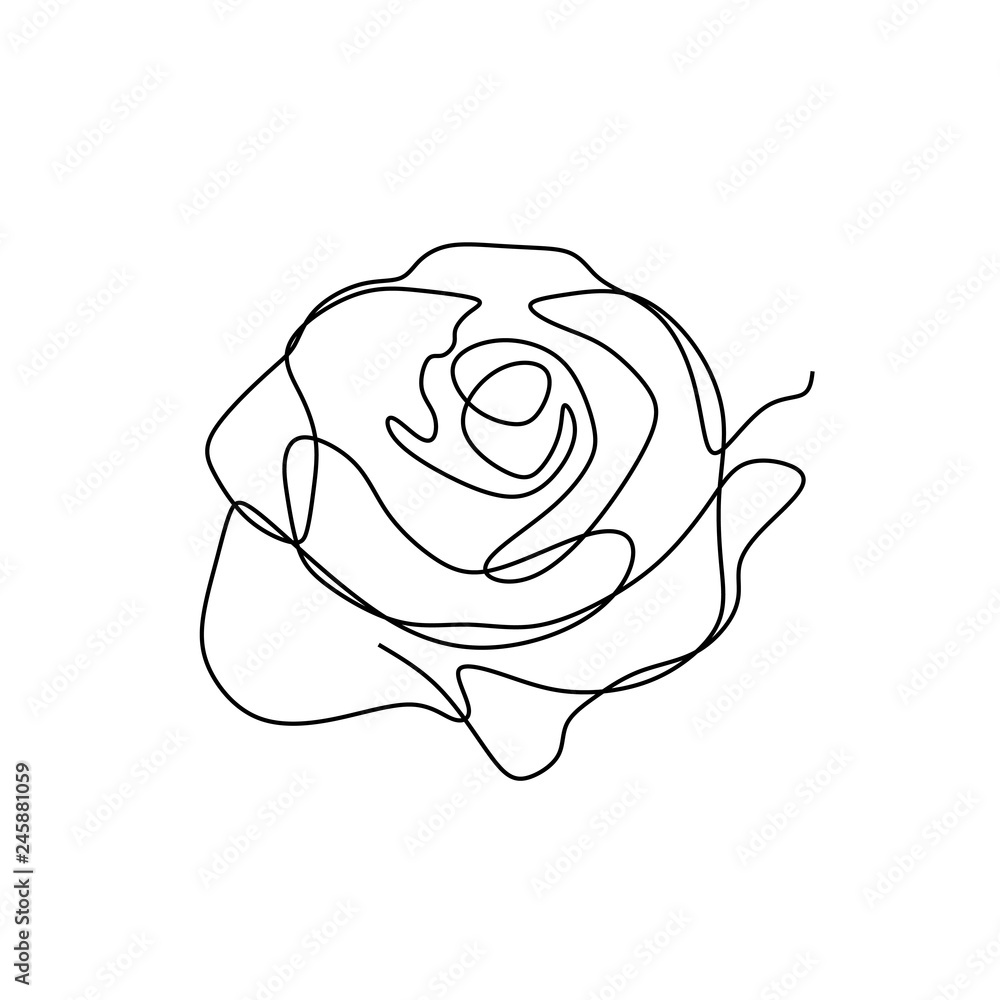 Fototapeta Flower continuous one line art drawing vector illustration. Awesome rose isolated on white background.