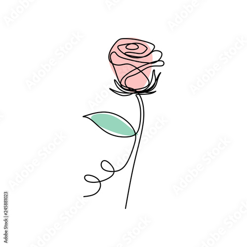 Fototapeta Continuous line art drawing of rose flower blooming minimalist design vector illustration