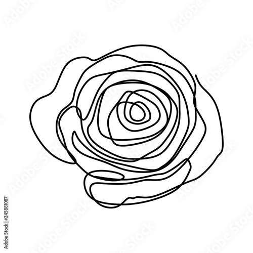 Fototapeta Kwitnie ciągłą jeden kreskowej sztuki rysunkową wektorową ilustrację. Wspaniała róża odizolowywająca na białym tle.