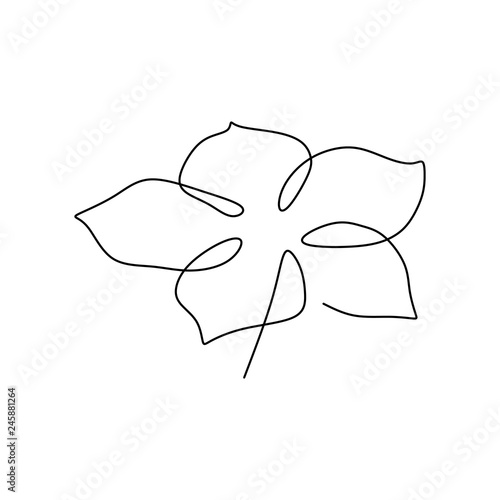 Lily flower blooming one continuous line art drawing vector illustration