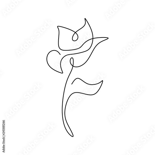 Lily flower blooming one continuous line art drawing vector illustration