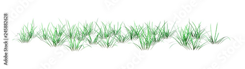 3D Rendering Green Grass on White