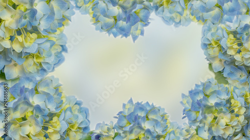 wunderschöner Hintergrund aus Hortensien