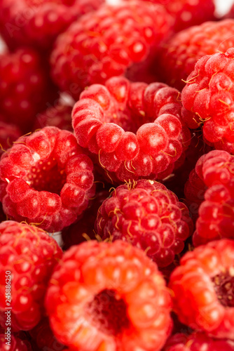 Raspberry fruit background, red berry