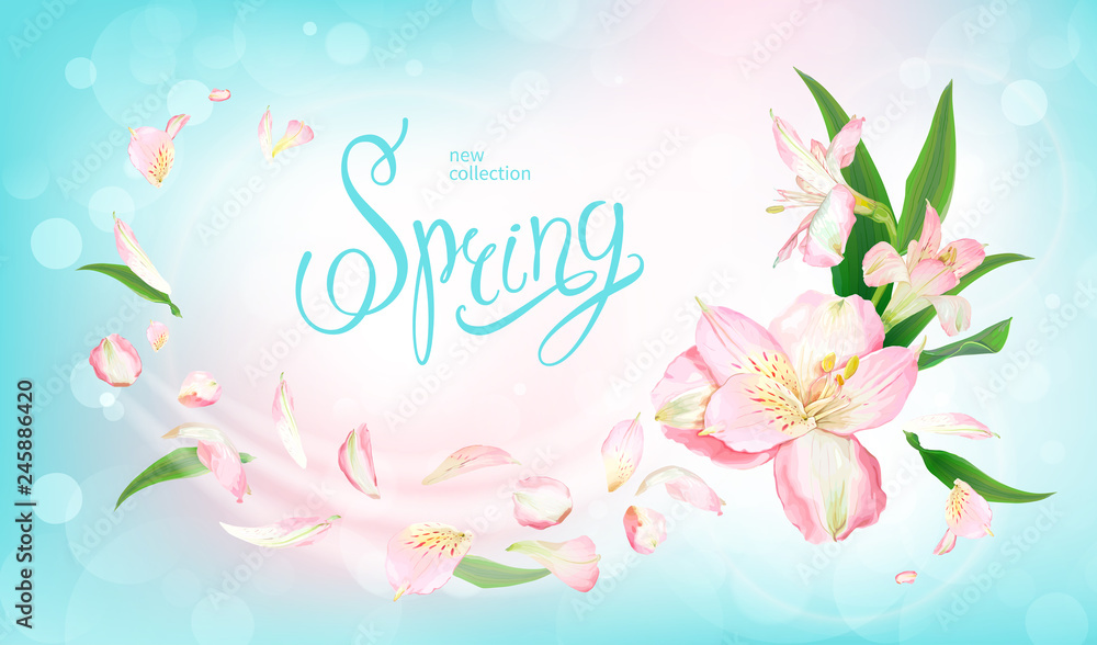 Spring collection background Spring collection background