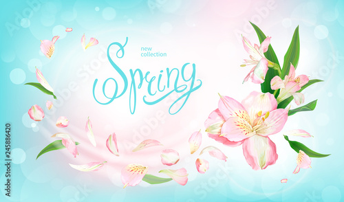 Spring collection background