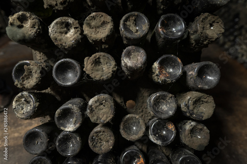 Wine aging bottles covered in dust and mold