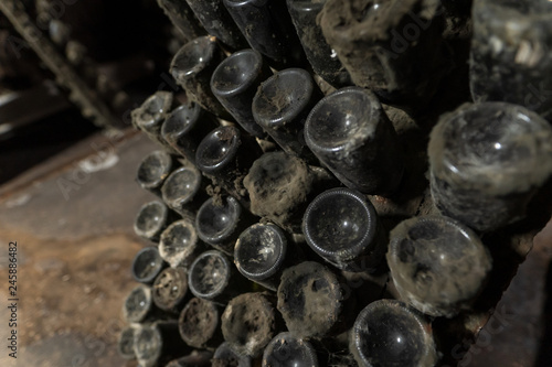 Wine aging bottles covered in dust and mold