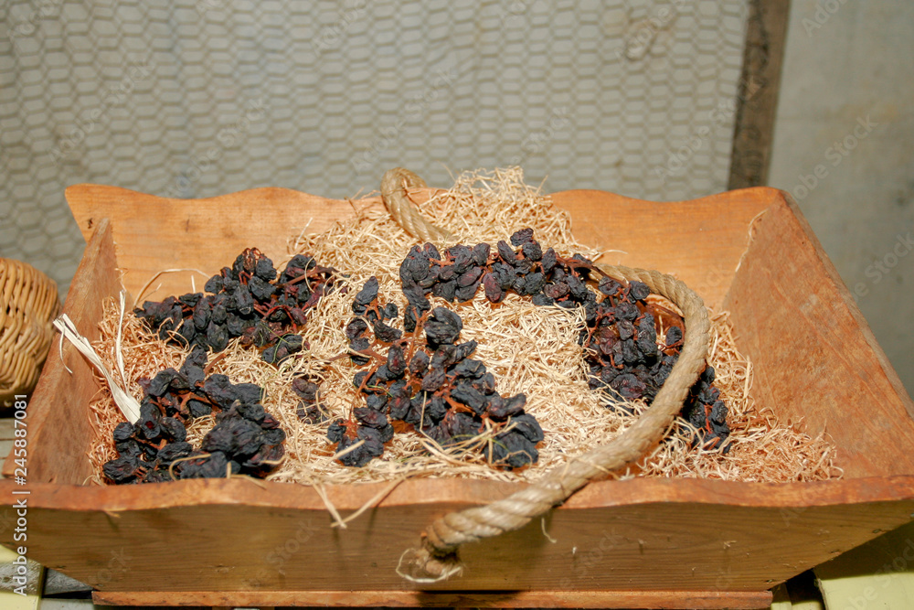 Pupillin France 12-10-2018. Bunches of grapes in a basket in winery in France Pupillin France 12-10-2018. Bunches of grapes in a basket in winery in France