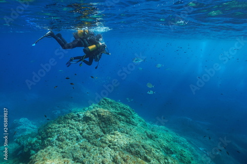 Scuba diving first dive, a man and a child look at fish underwater, Mediterranean sea, France