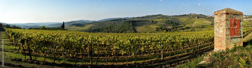 old water well and beautiful vineyards during the autumn season. Located near Greve in Chianti  (Florence). Tuscany in Italy.