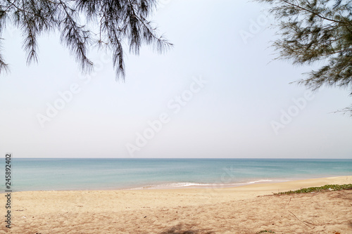Tropical sea white sand beach with leaves frame © panya99